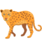 Leopard emoji on Messenger
